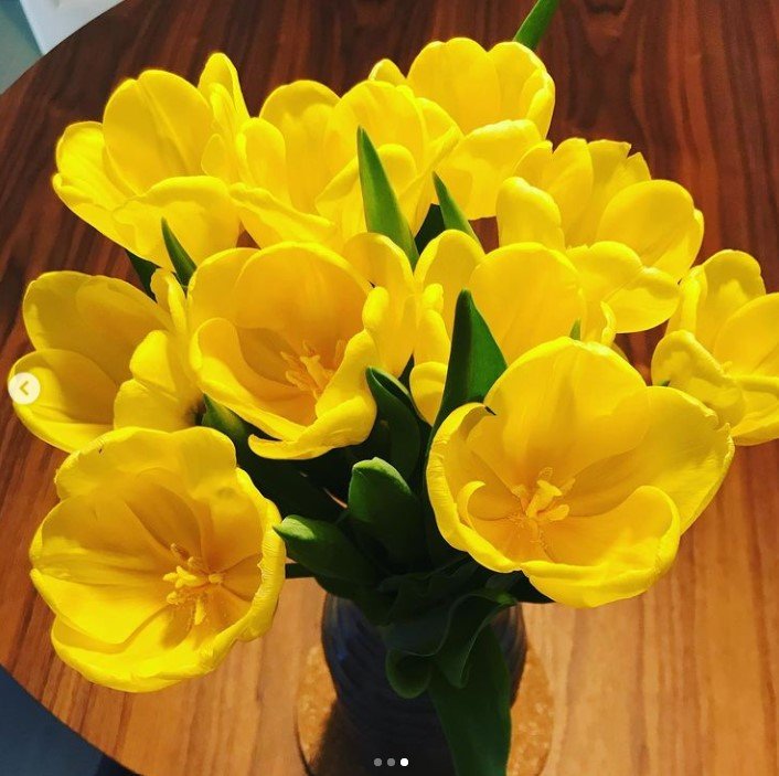 flores tulipanes 2