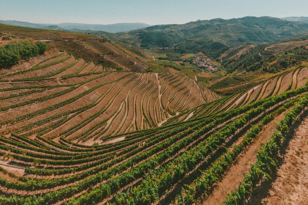 rui marinho vinos Duero