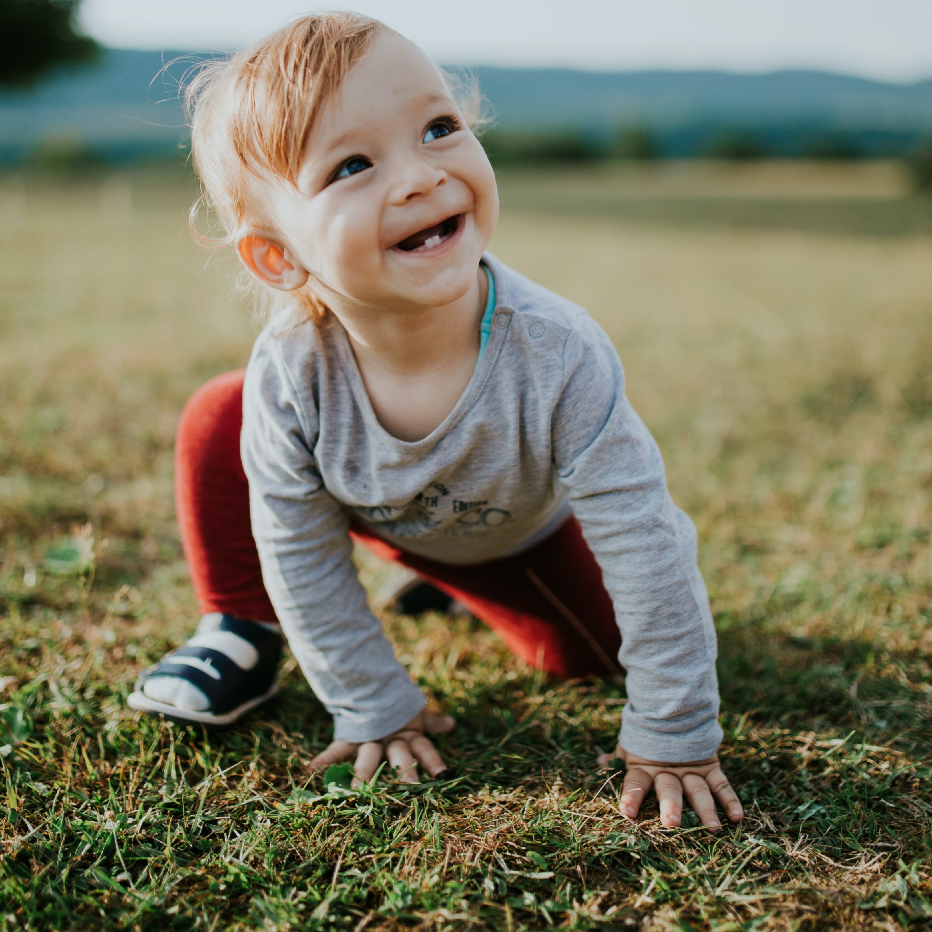Los niños fruto de cesárea nacen con una microbiota intestinal más pobre