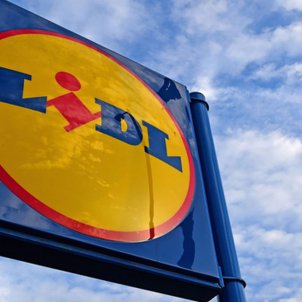 Lidl tiene un nuevo cepillo secador para mascotas