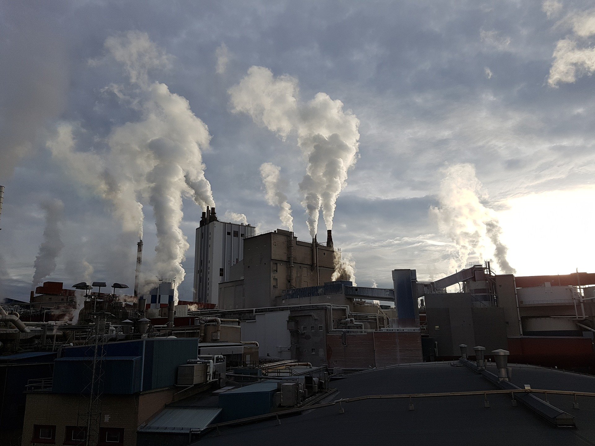 Aprovada la primera llei contra el canvi climàtic a Espanya