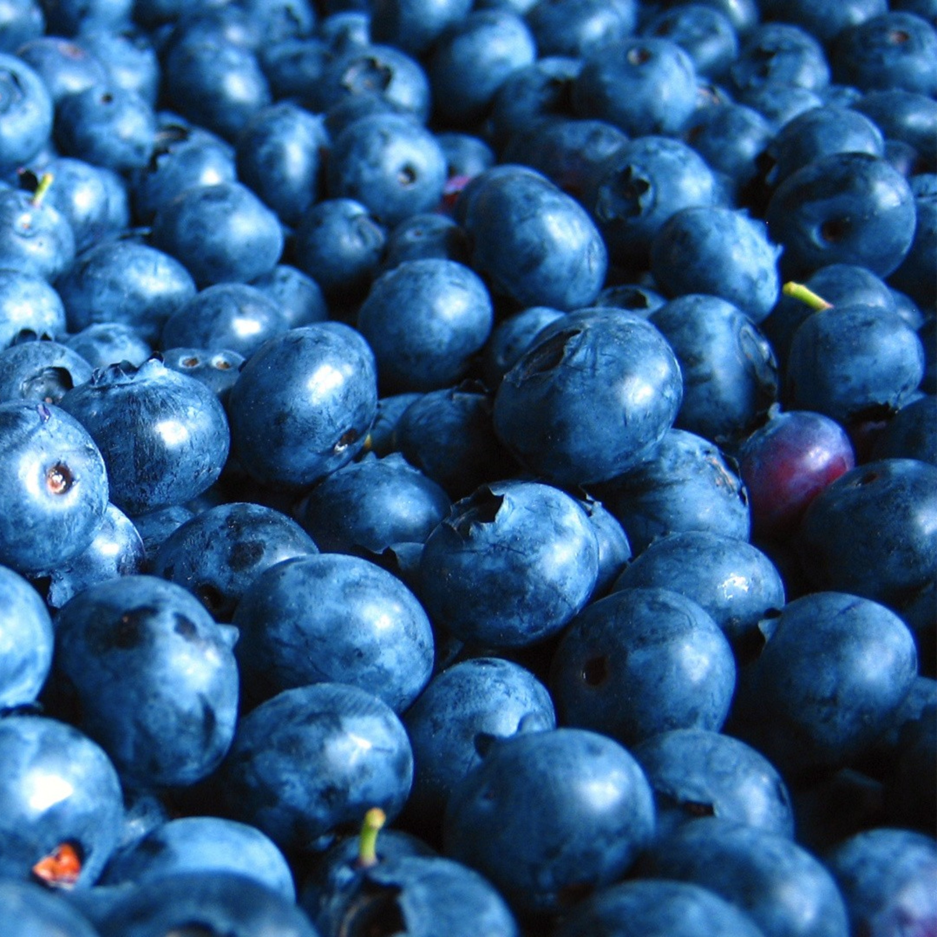 Quatre aliments per tenir més memòria i més concentració