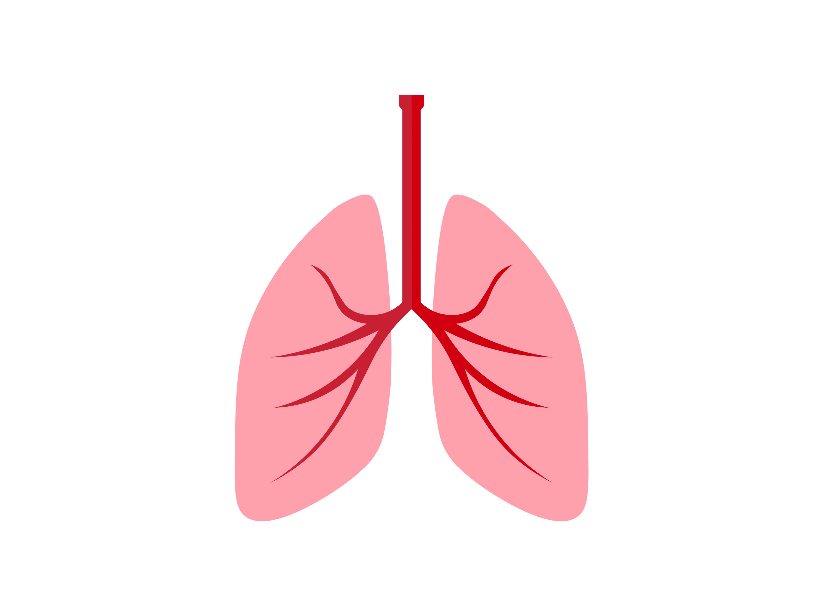 Pulmones sangre