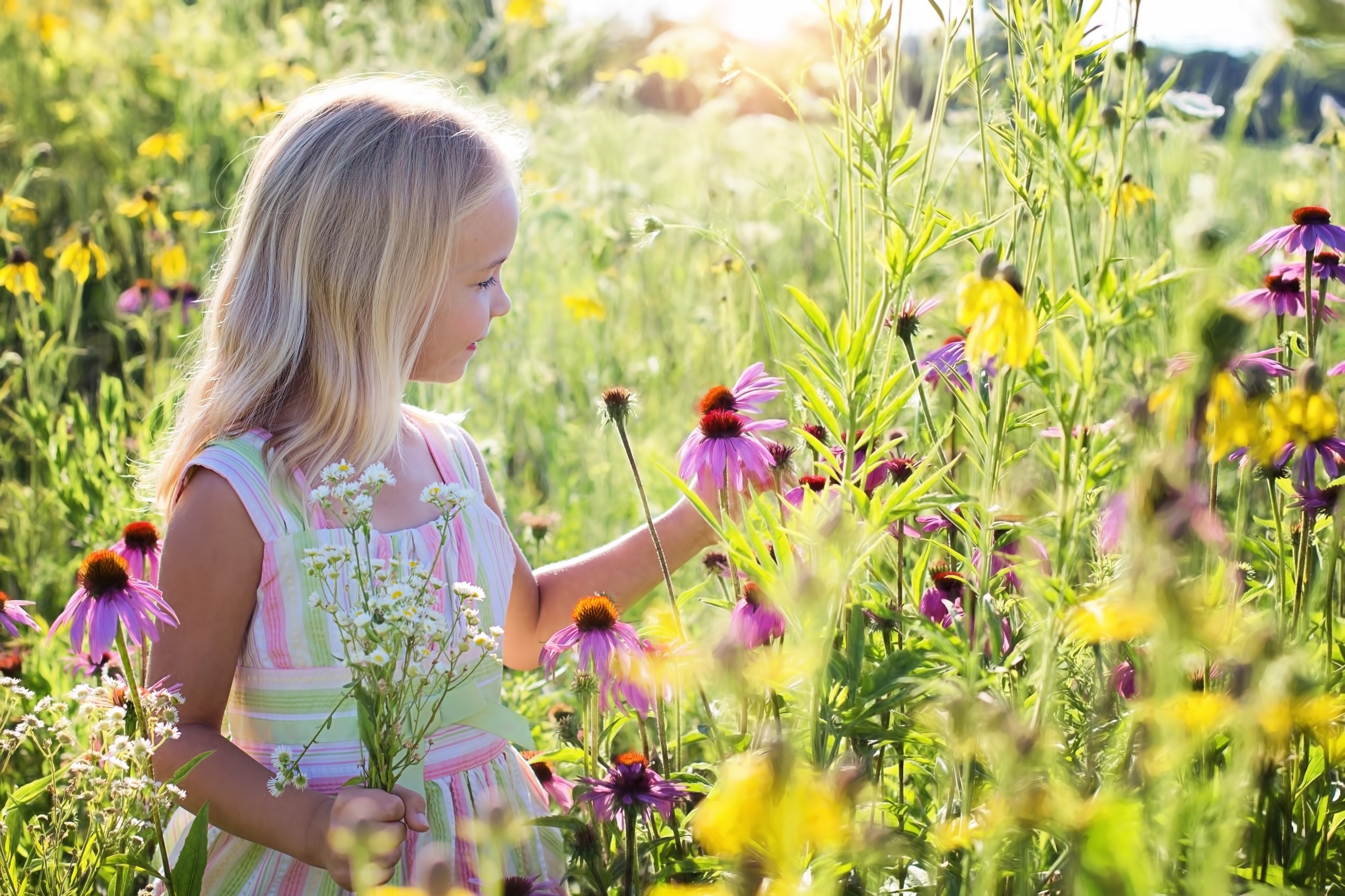 Niña flors