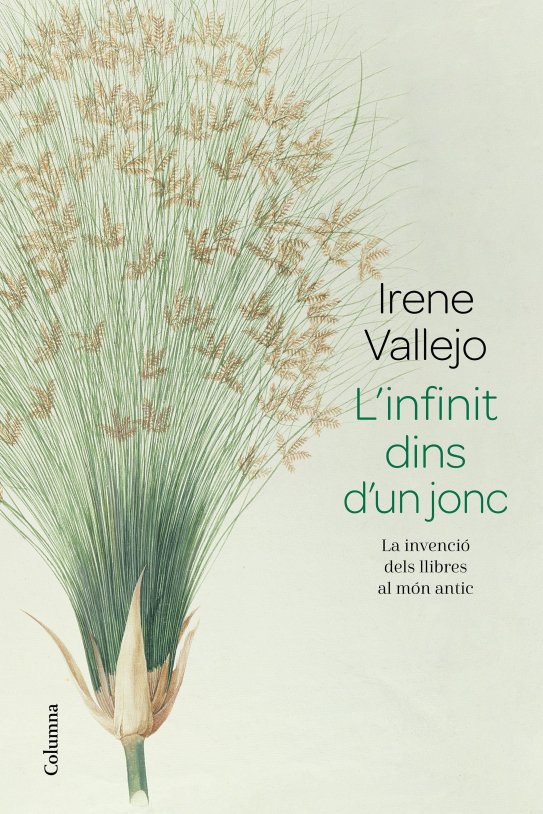 portada linfinit dins dun jonc nuria pares sellares 202007070919