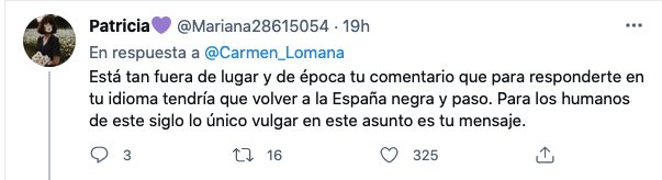 tuits contra Carmen Lomana 4