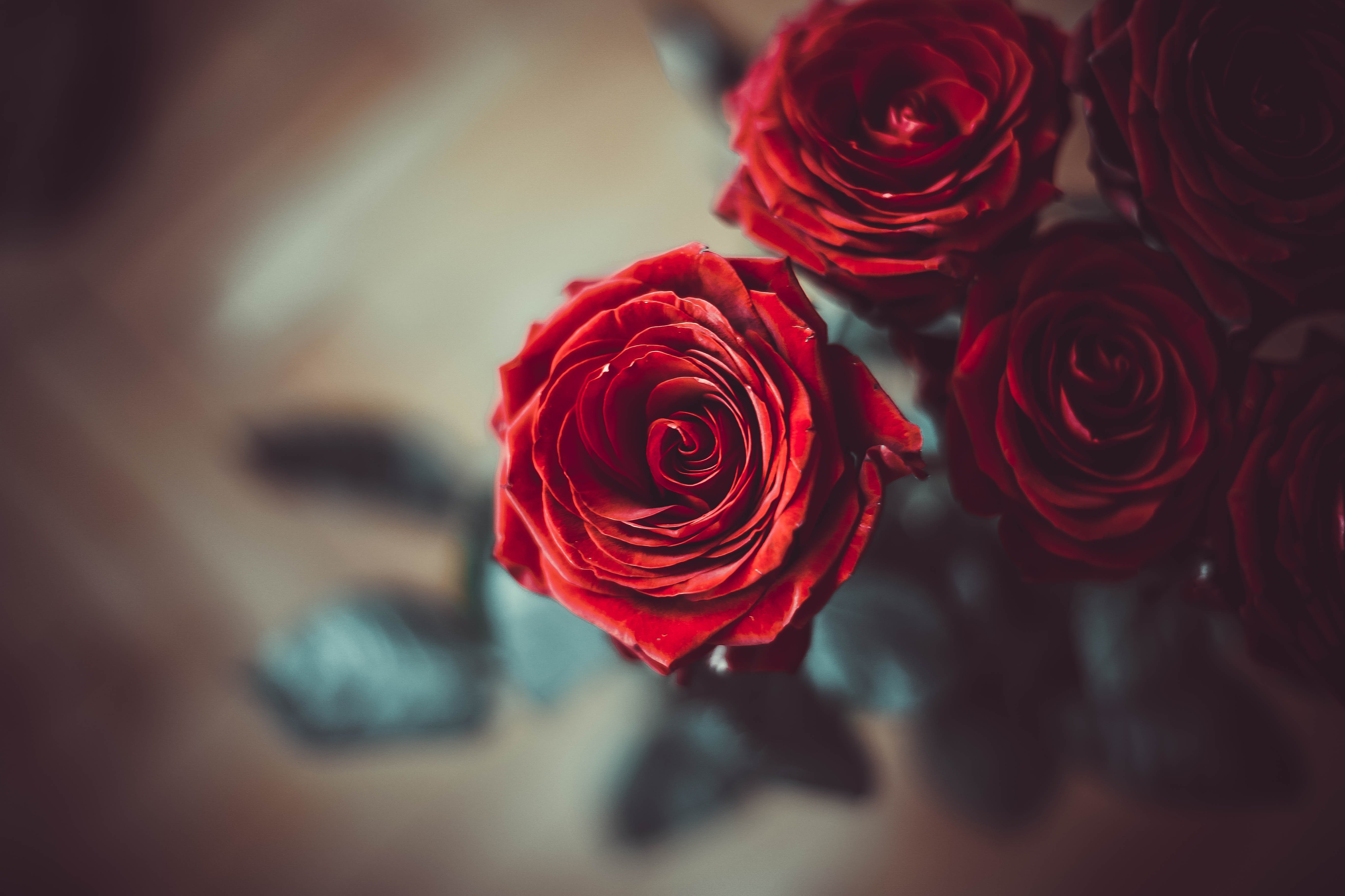 Sant Jordi: les flors només són cosa de dones?
