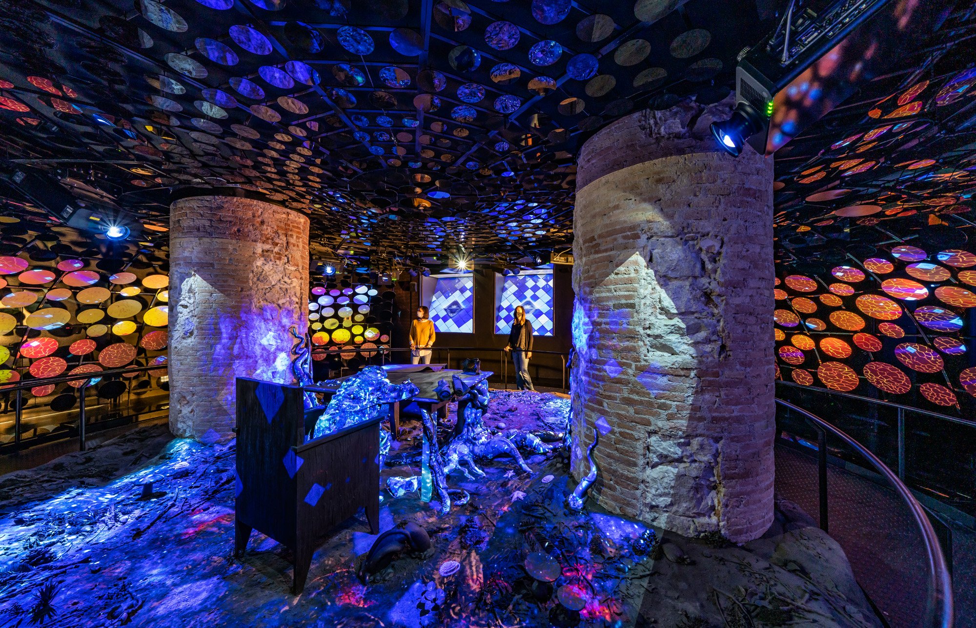 Nit dels Museus 2025 a Barcelona: programa, portes obertes i horaris de les activitats