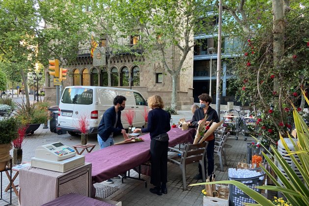 rosas santo jordi rambla catalunya Guillem Maneja