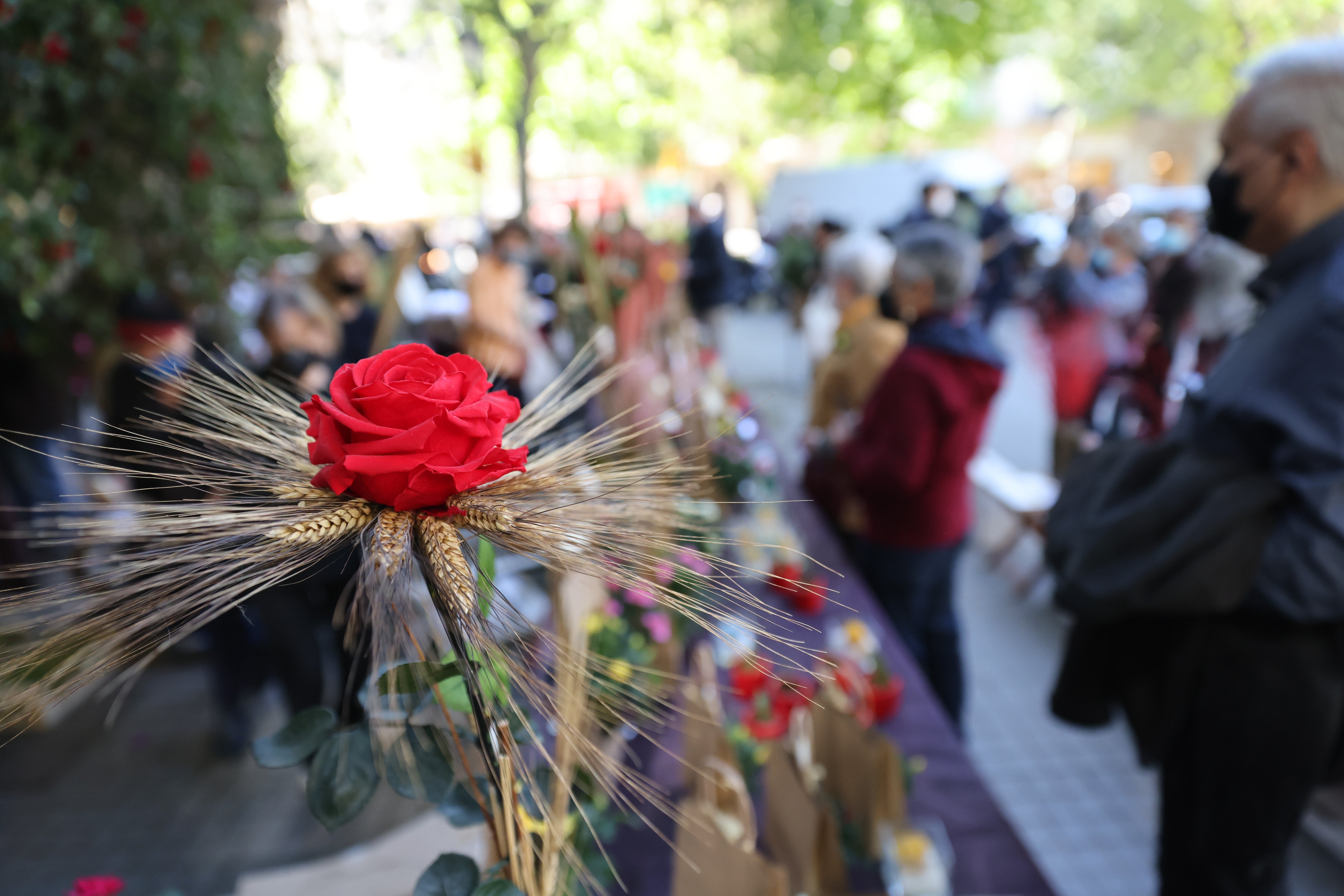 Maria Ponsà florista Sergi Alcazar (15)