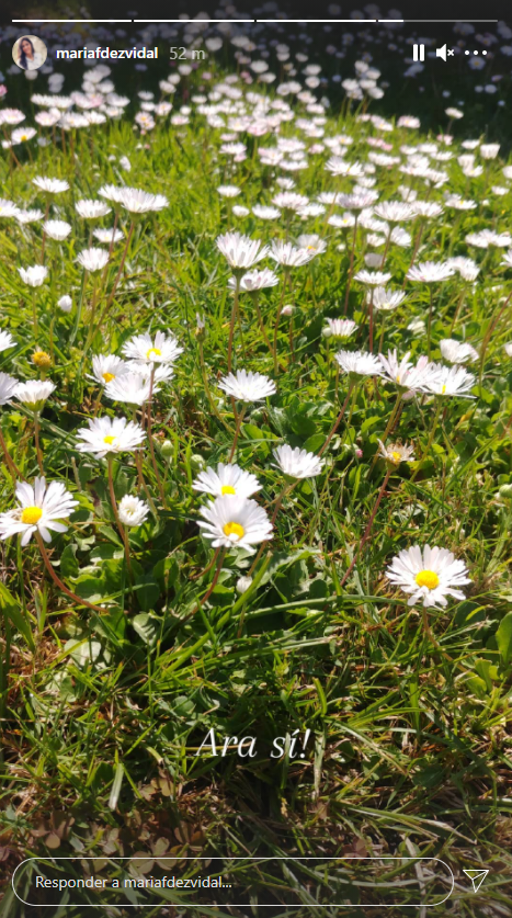 flores mfv2