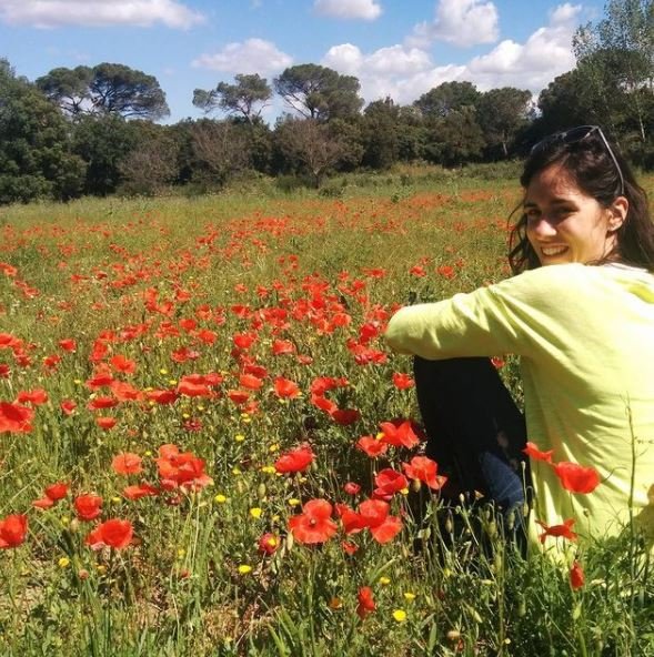 mfv flores