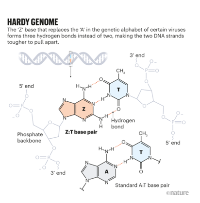 hardy genome nature
