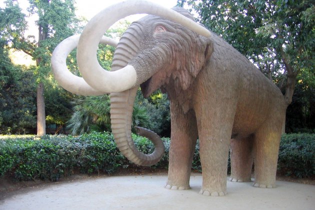 Mamut Citadella wikipedia