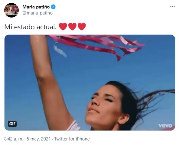 Perfil de Twitter de María Patiño