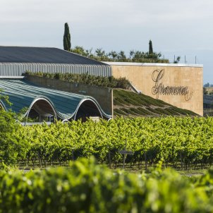 El millor pla per dir adeu al toc de queda: esmorzar, vinyes i Gramona