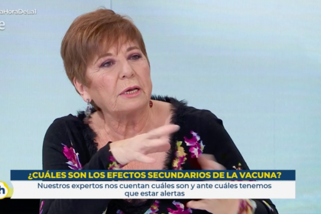 Celia Villalobos, Televisión Española