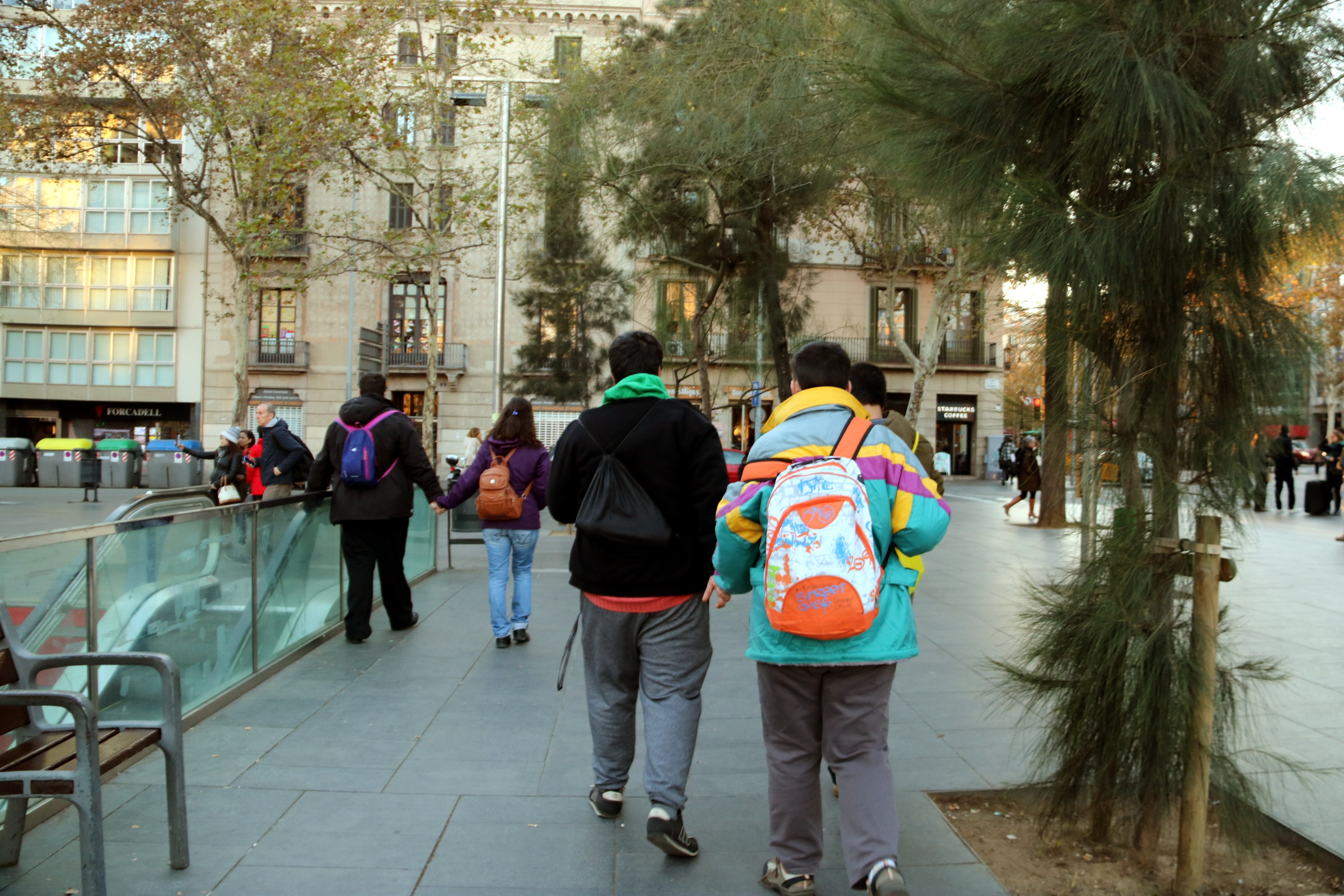 El terme 'disminuït' desapareixerà de la Constitució