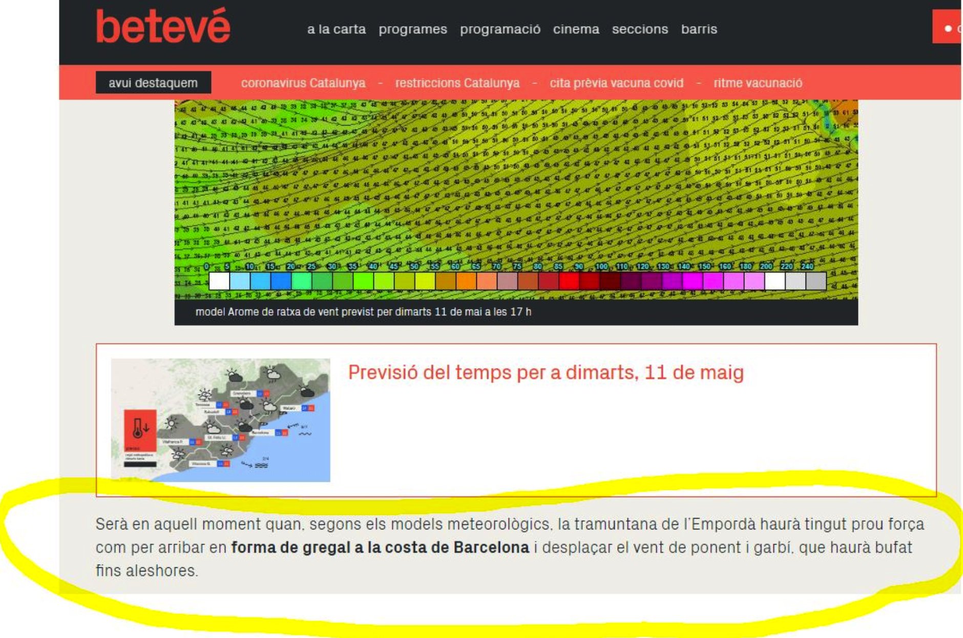 text Marcos Amores betevé