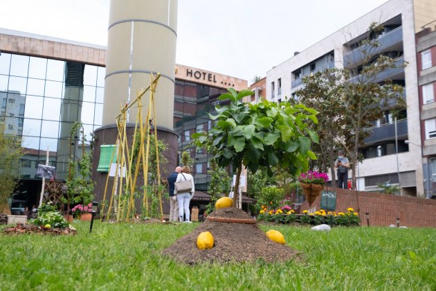 Girona Tiempo de Flores 2021_4_Aj Girona