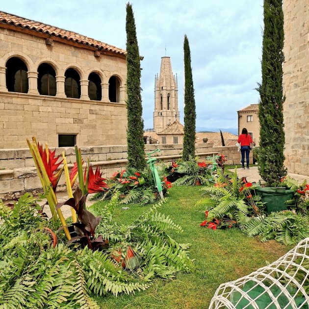 Girona Temps de Flors 11_Pep Antoni Roig