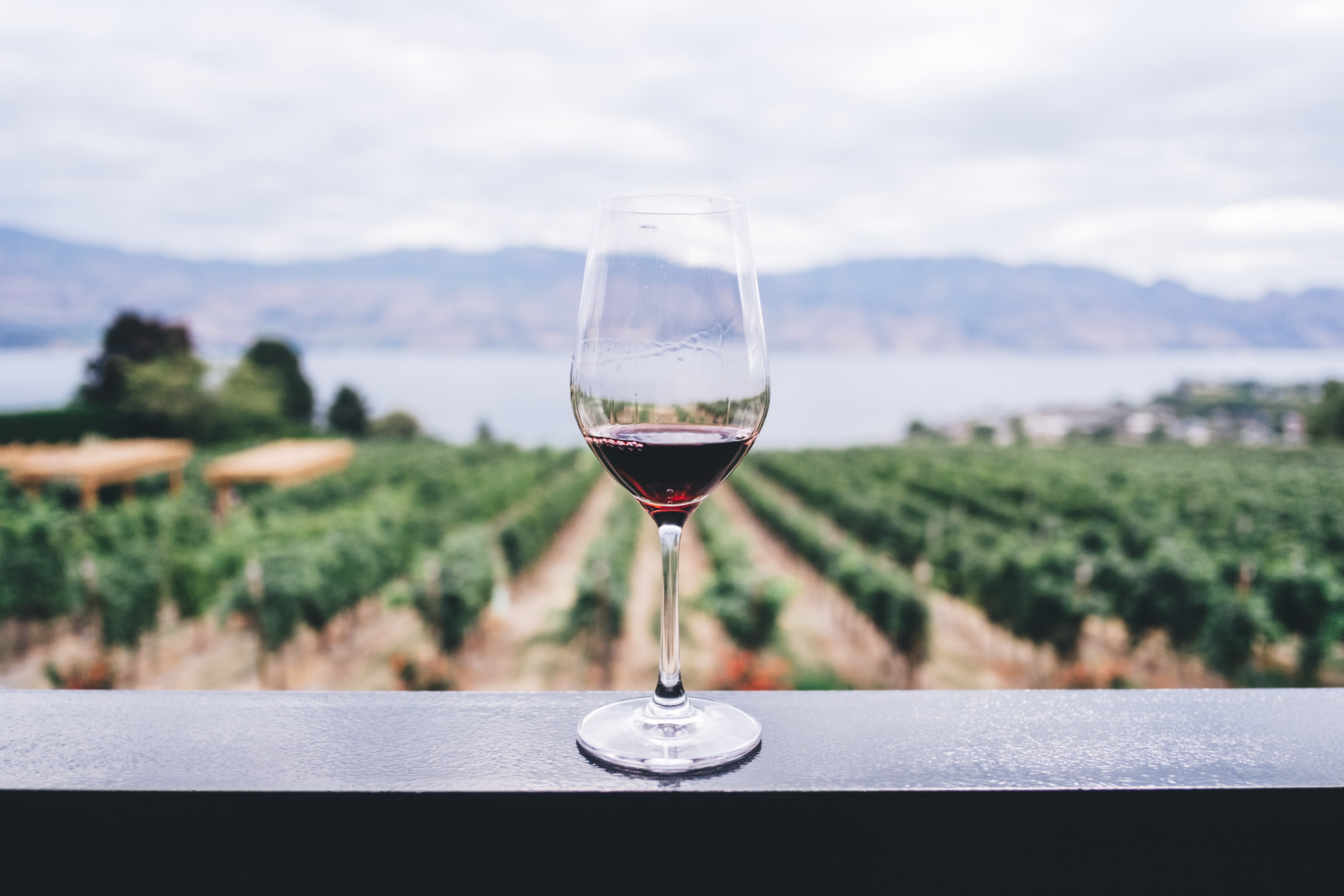 El Gourmet de El Corte Inglés tiene un vino del Moncayo que es el más vendido de menos de 10 euros