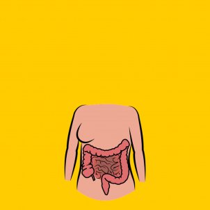 intestinos dibujo