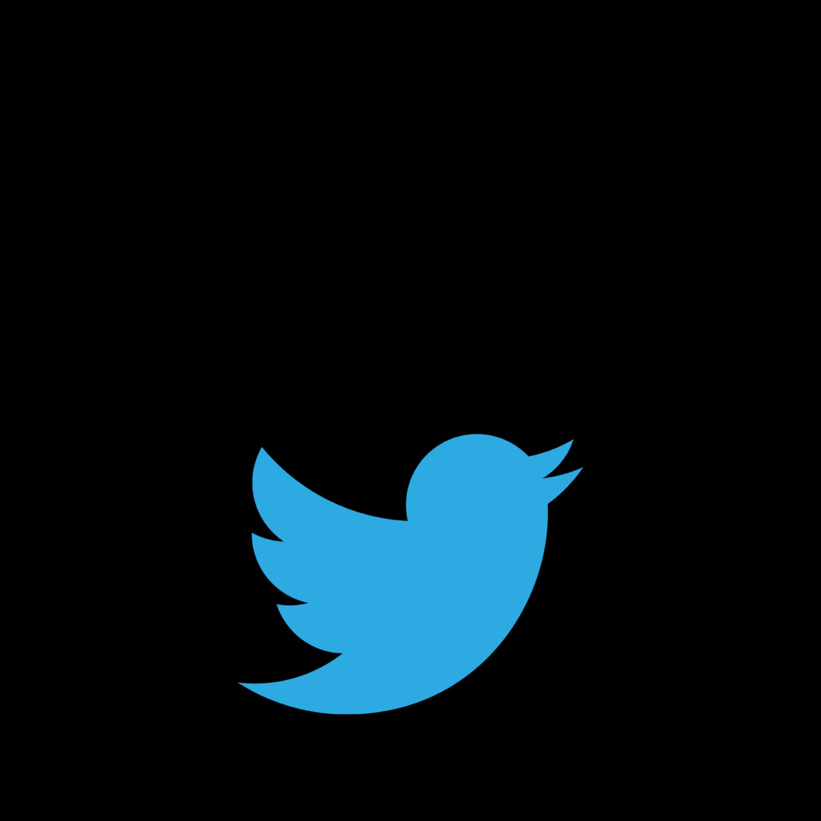 Twitter Blue, el servei de pagament de Twitter que està a punt d'arribar