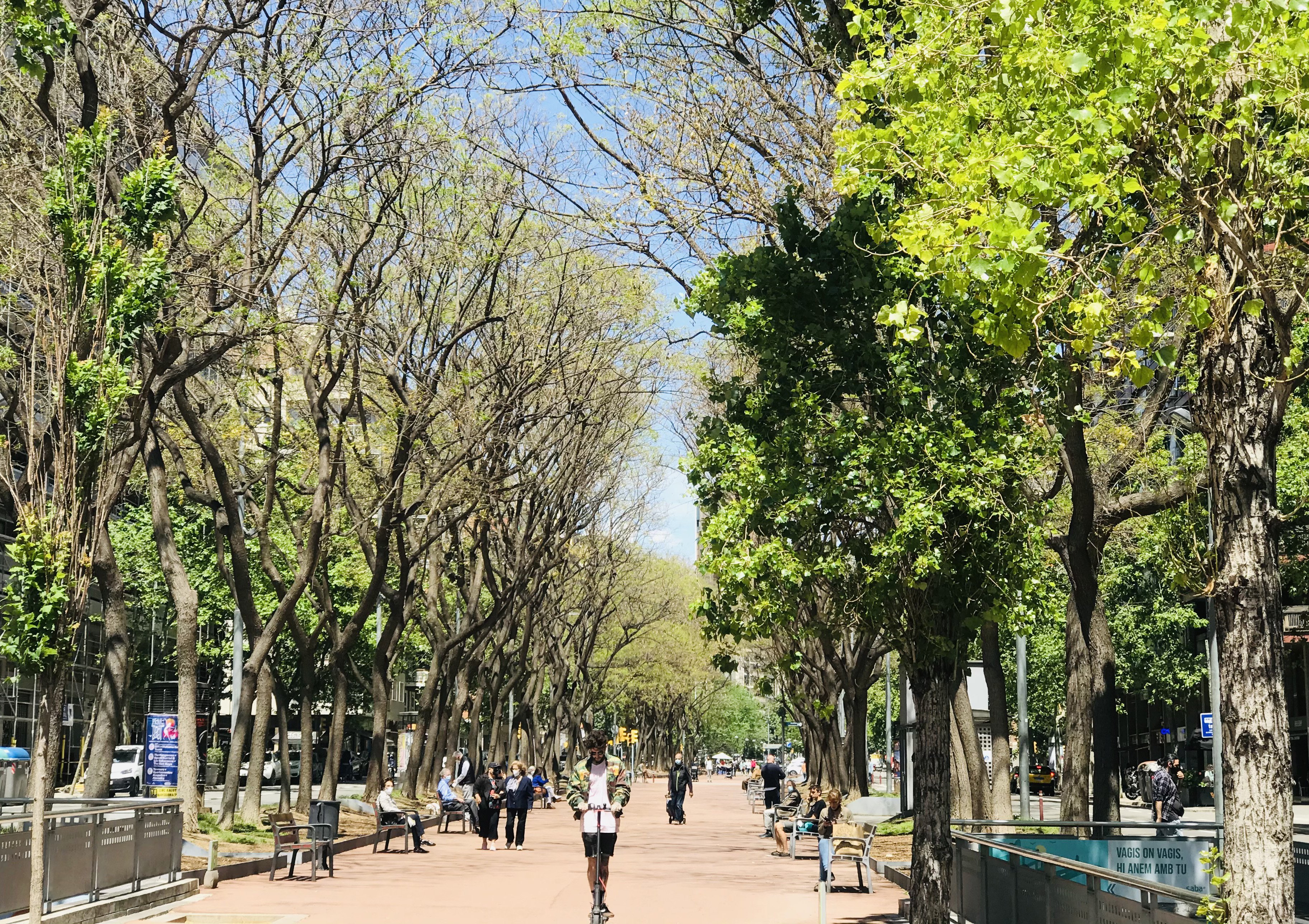 ViaUrbana Arbrada