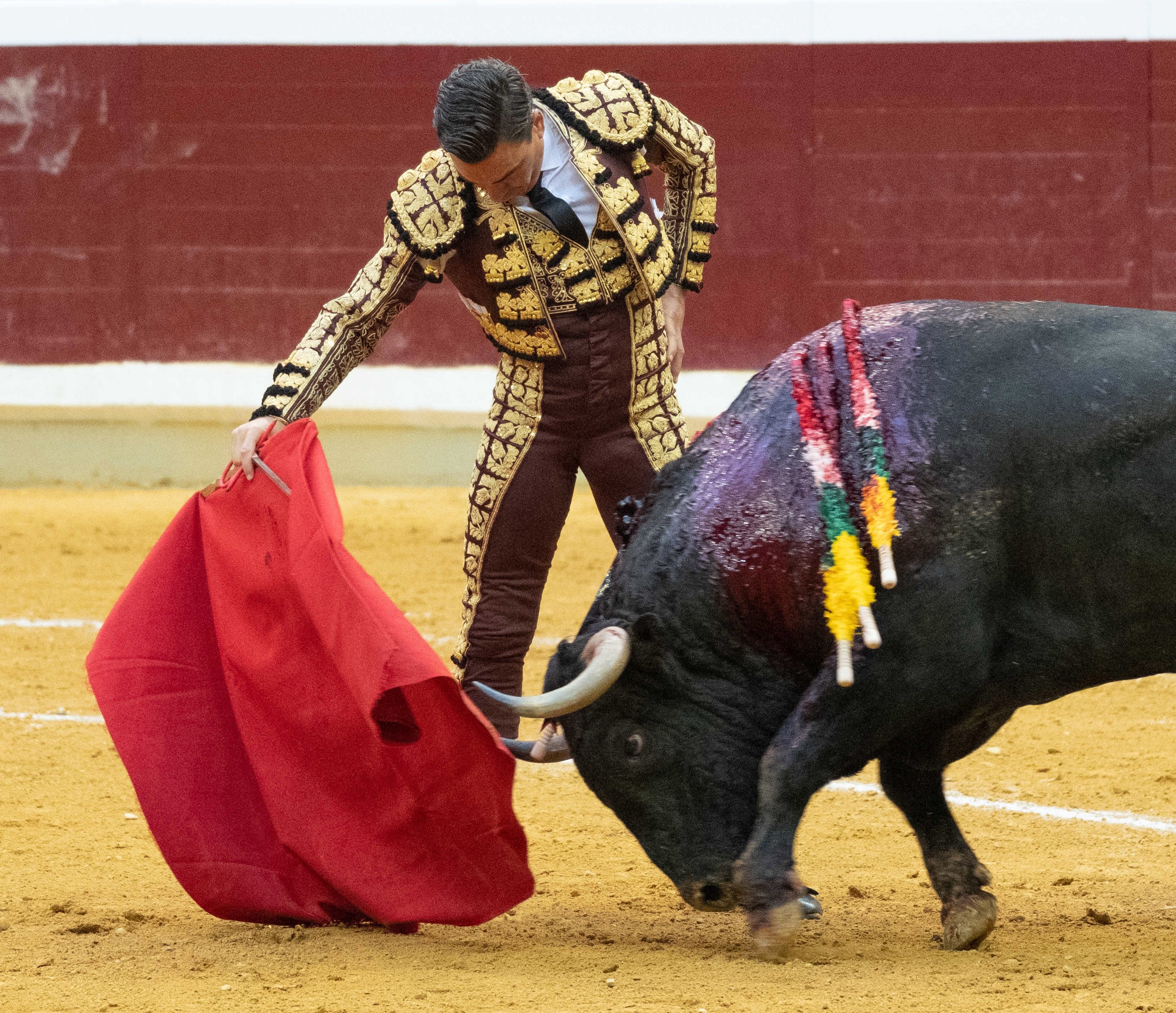 Calling a bullfighter "a murderer" not justified by free speech, rules Spanish court