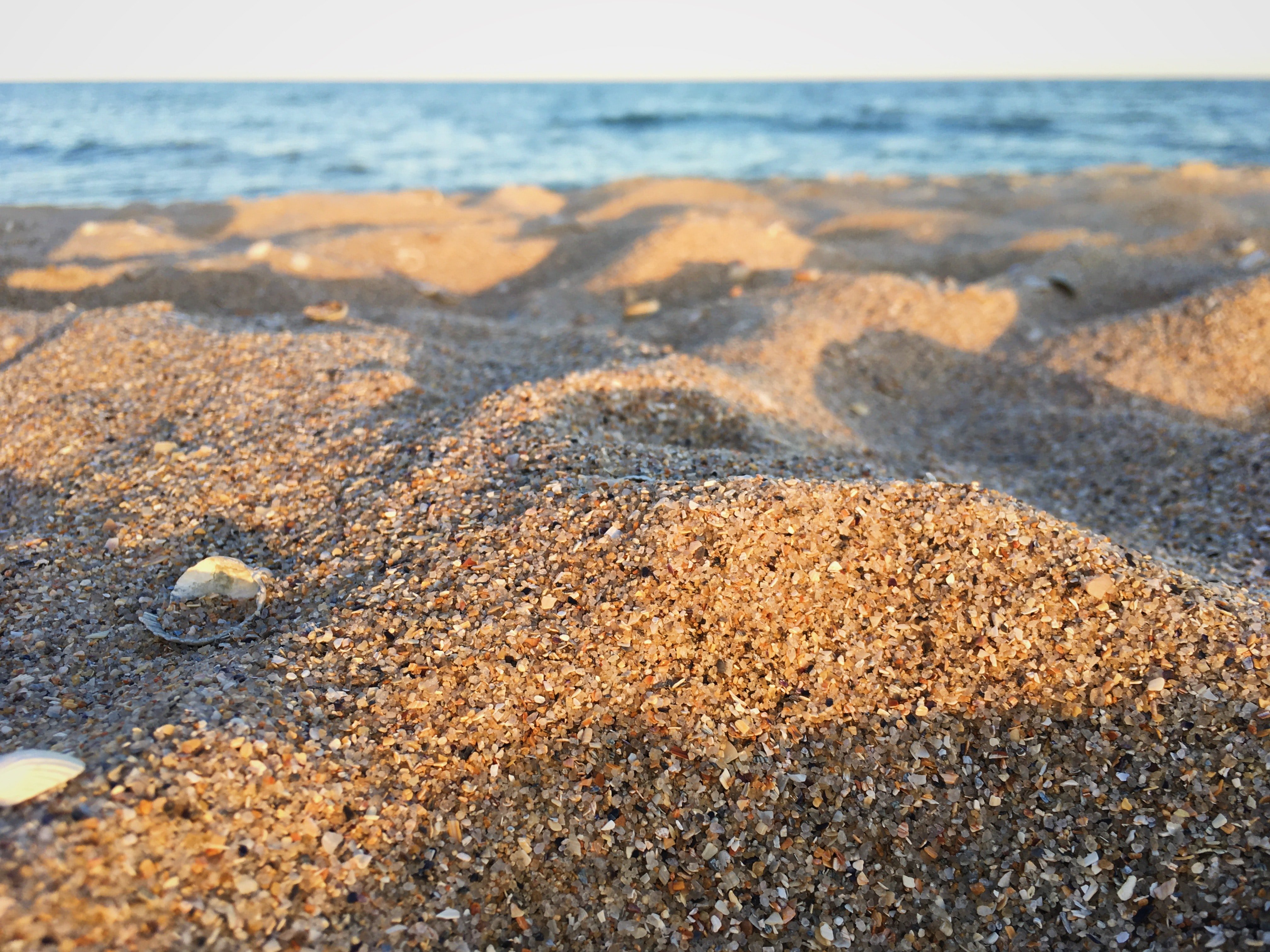 ¿Qué forma tiene la arena? Espectaculares imágenes de granos ampliados