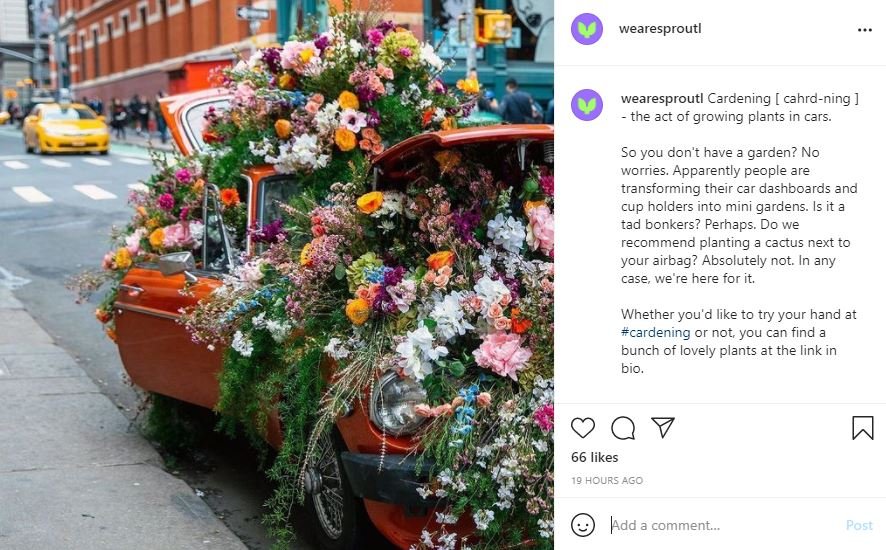 @wearesproutl instagram cardeing TUIT