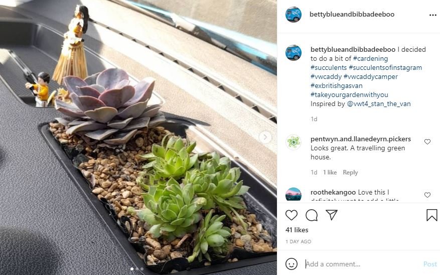 plantas coche instagram @bettyblueandbibbadeeboo TUIT