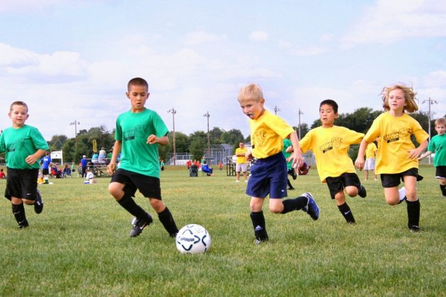 team of young footballers football match team juniors football field lawn ball sport 594839