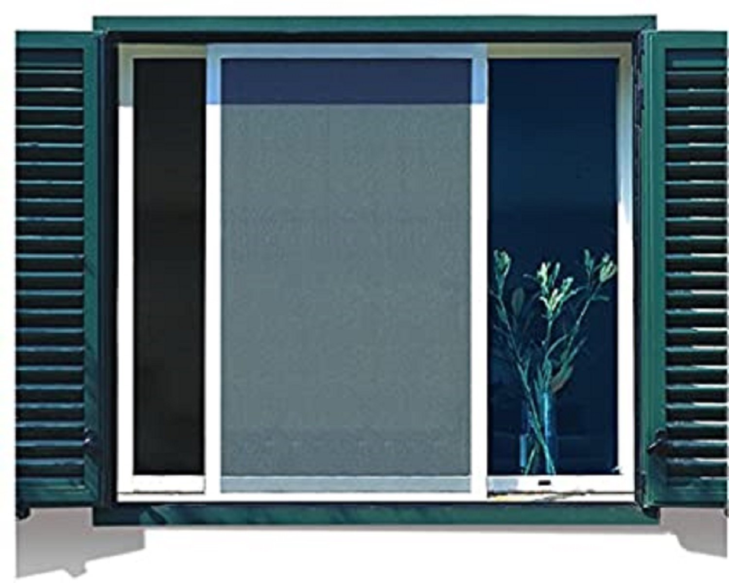 Mosquitera Amazon / Amazon