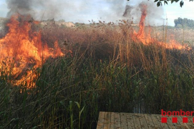 incendi Sant Llorenç de Montgai incendi Sant Llorenç de Montgai