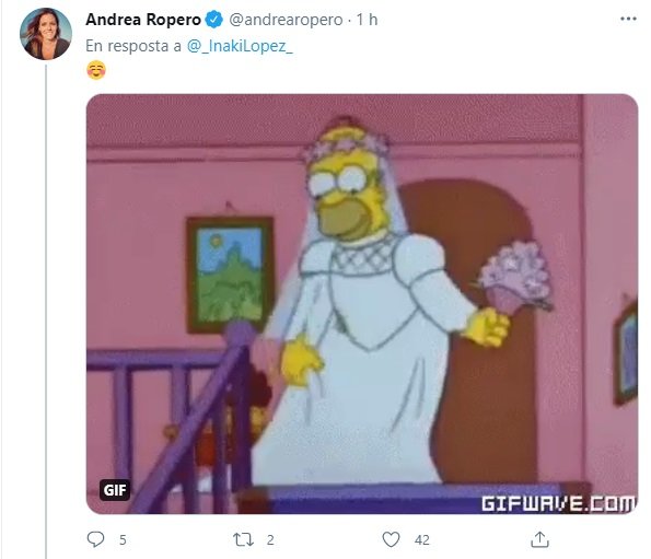 tuit boda ropero homer