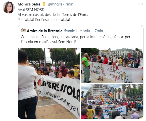 Monica sales tuit