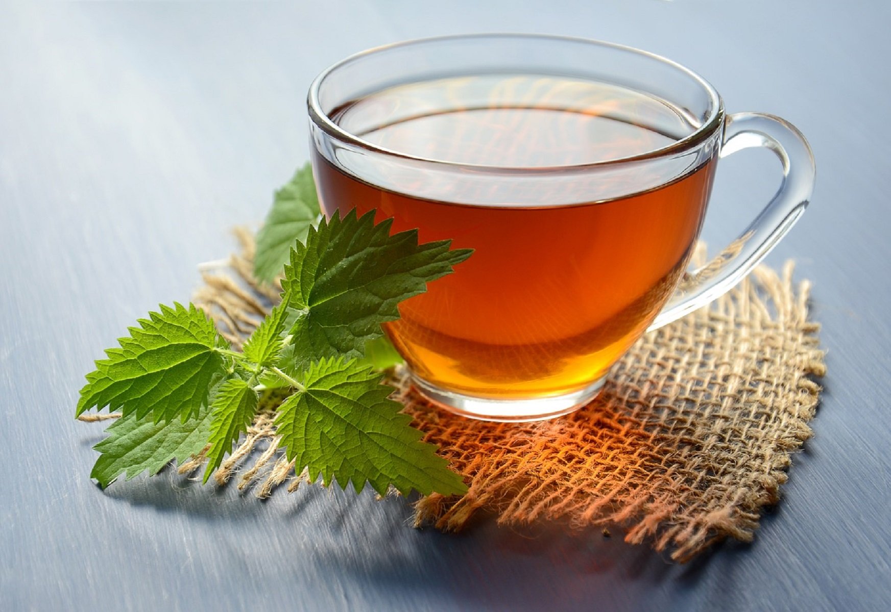 El té de Mercadona que arrasa: ayuda a adelgazar y reduce el estrés