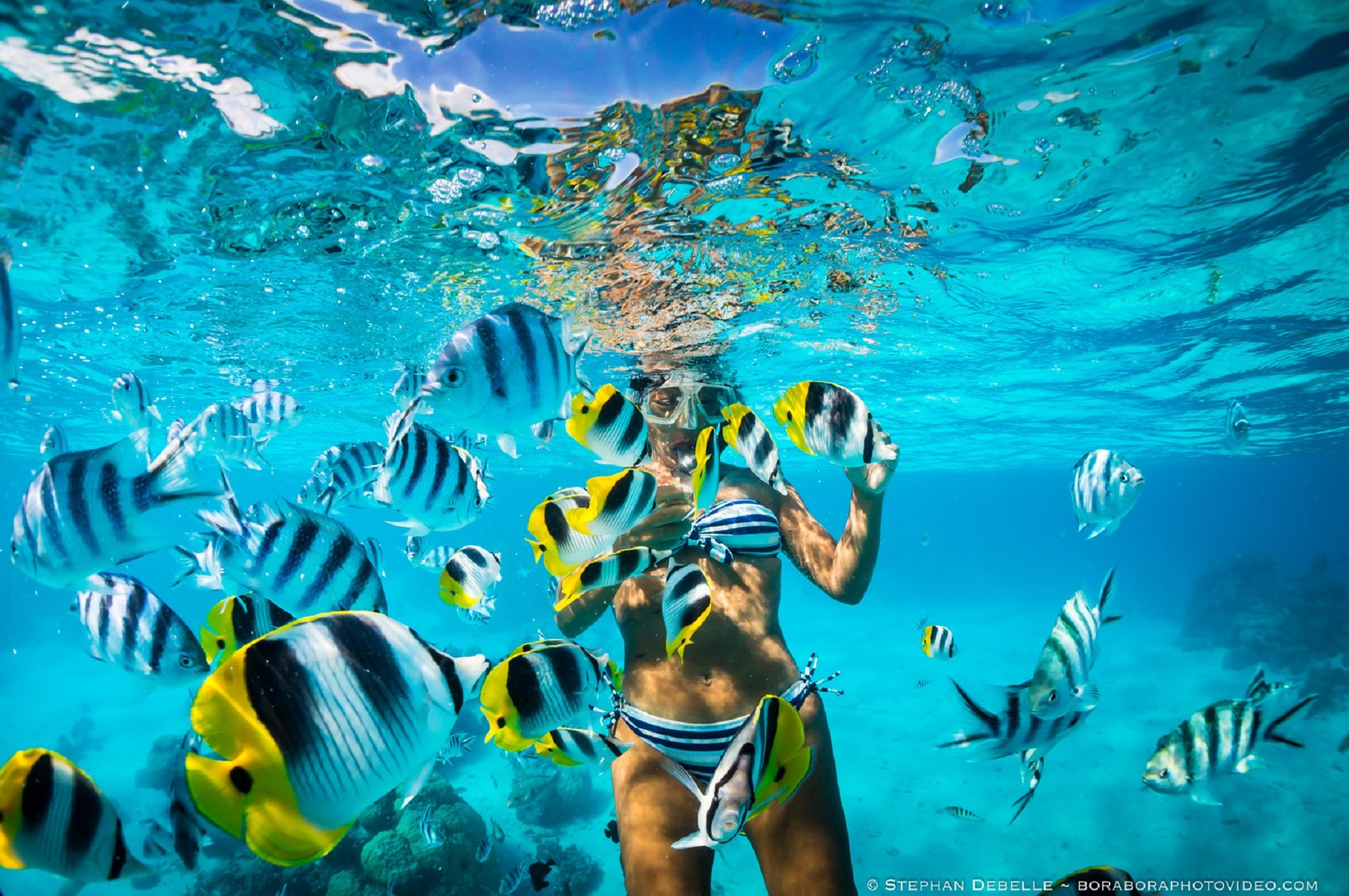 Carrefour pone a la venta las gafas de buceo ideales para el
