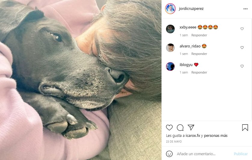 Jordi Cruz Pérez y compañía @jordicruzperez