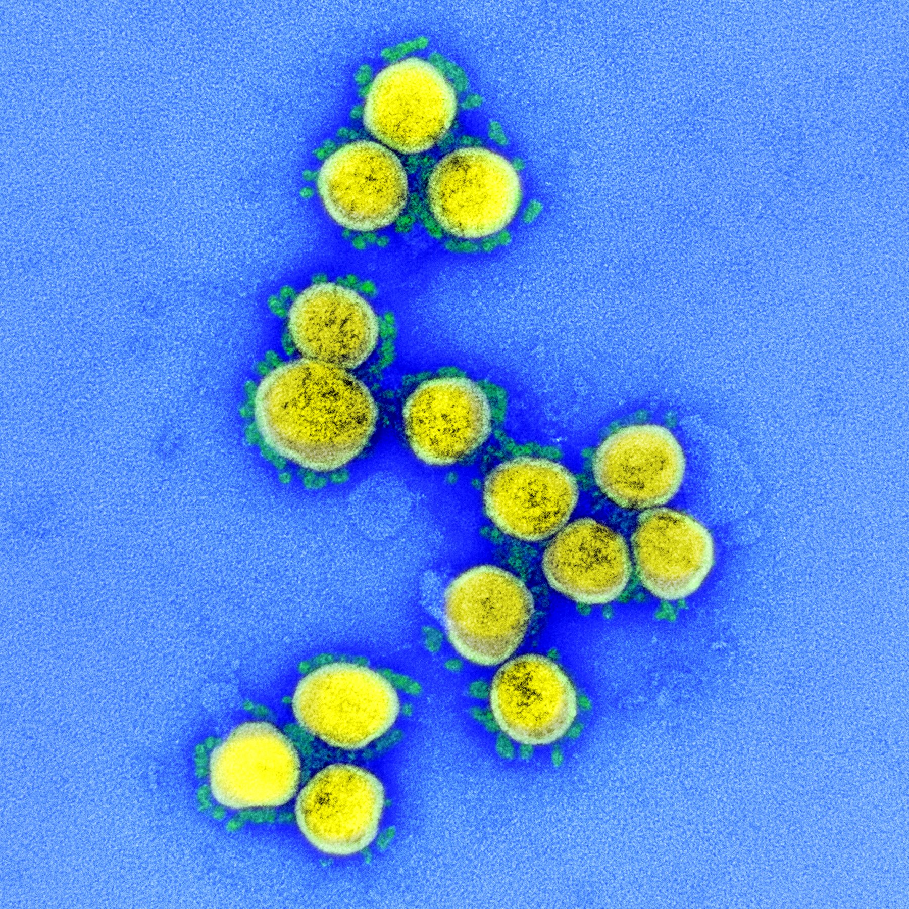 Adeu a l'estigma: l'OMS estableix una nova manera d'anomenar les variants