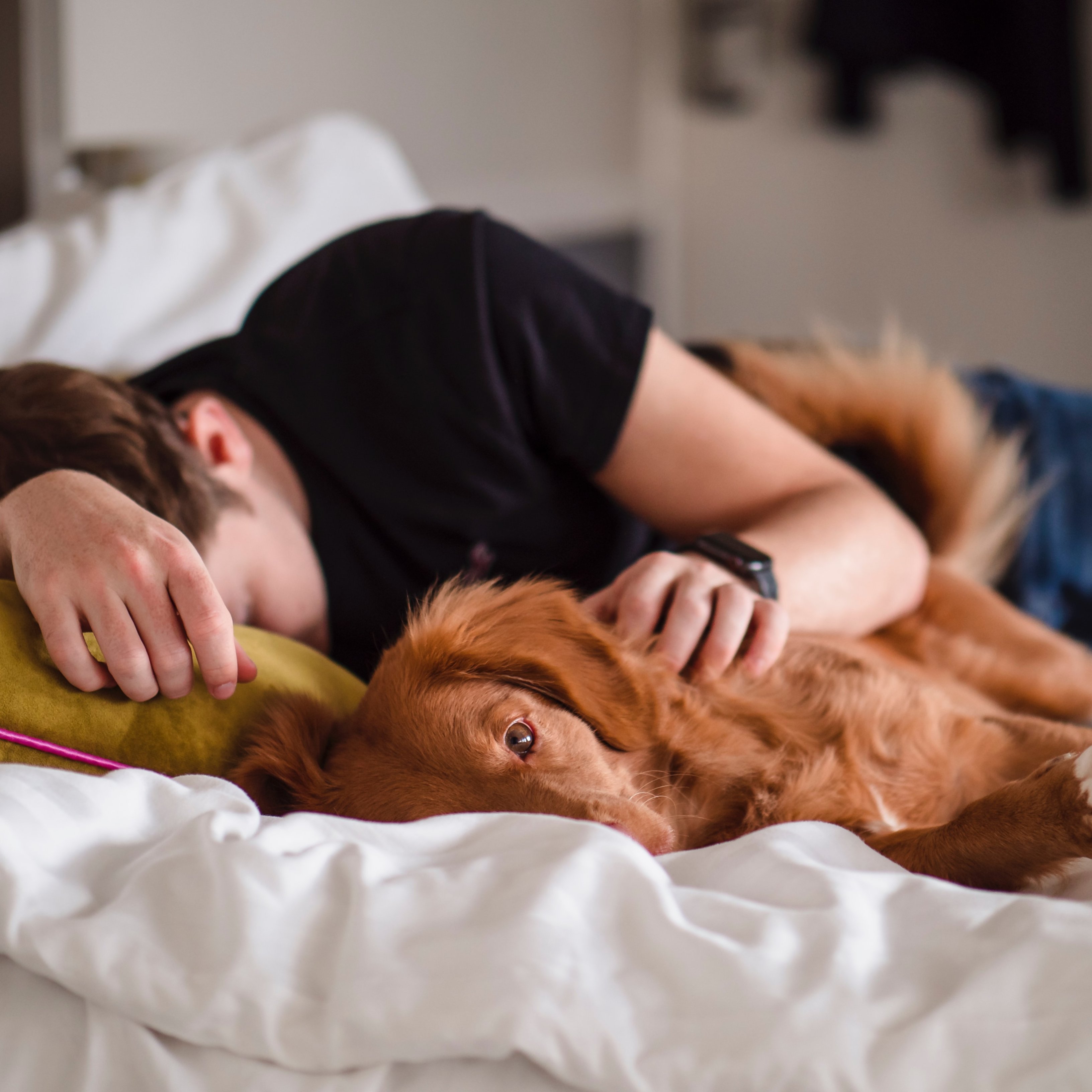 La calidad del sueño de los que duermen con su mascota es mejor