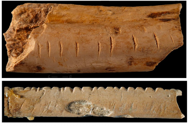 Fragments ossos D'Errico