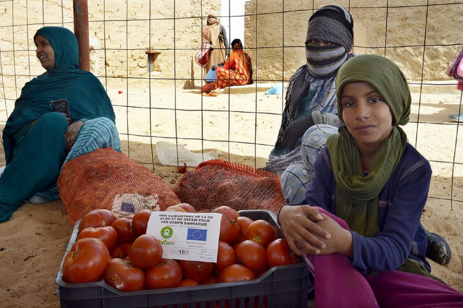 Se prepara una nueva crisis entre España y Marruecos: ahora, por tomates