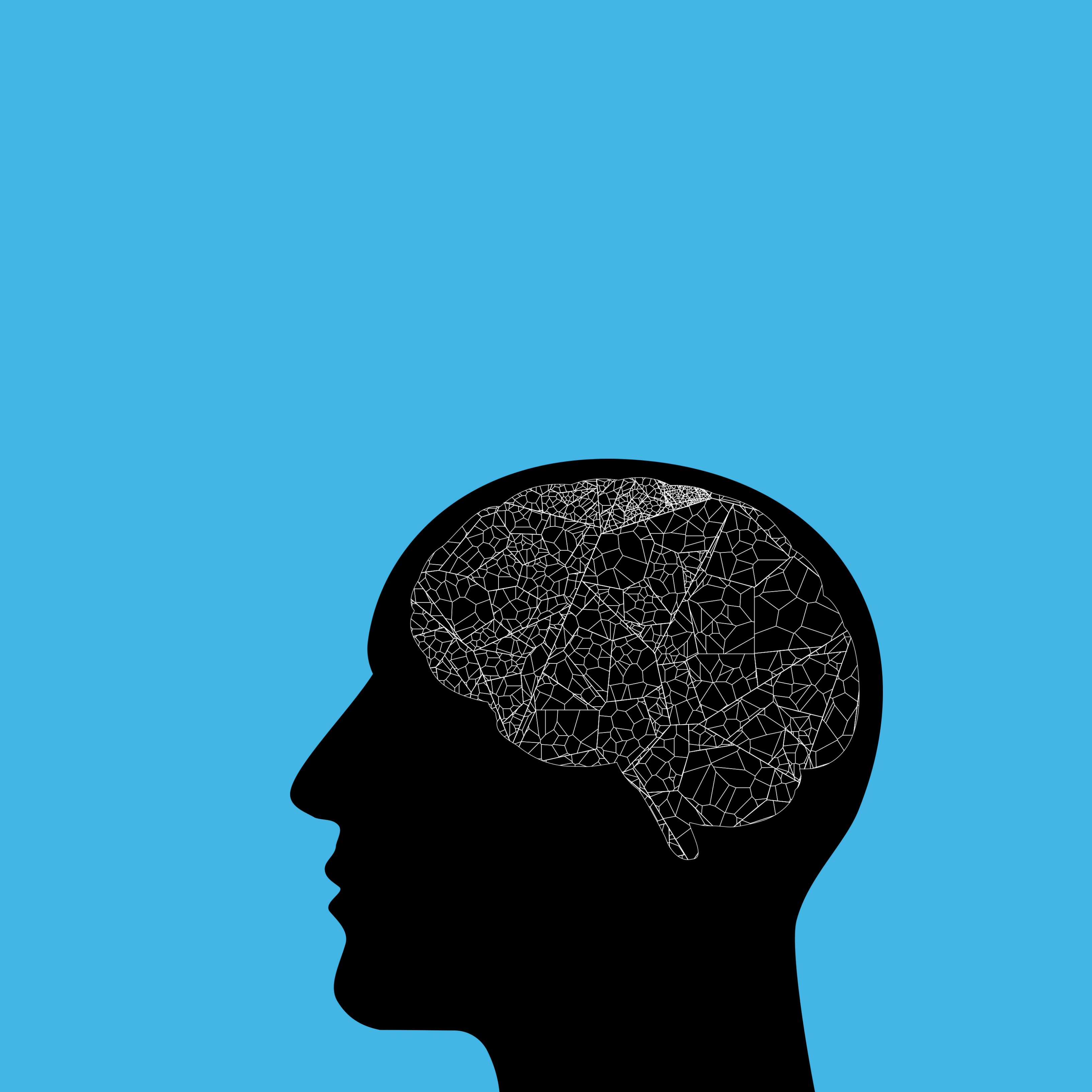 L'edat que té el teu cervell en comparació amb la teva edat cronològica