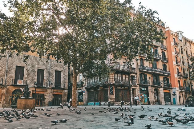 Plaça Pi Oriol Pep Antoni Roig