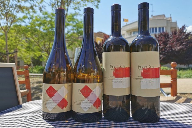 Vinos rebeldes 3