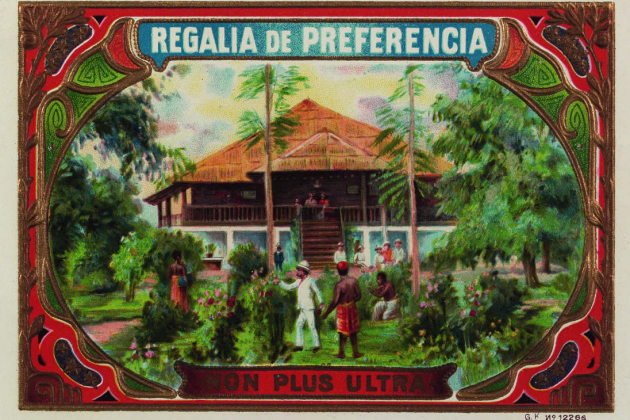 Plantación en Puerto Rico (principios del siglo XX). Fuente Biblioteca Nacional de España