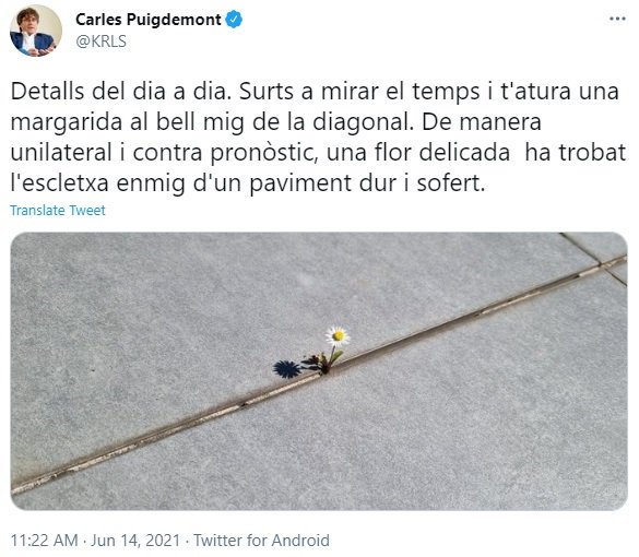 tuit puigdemont